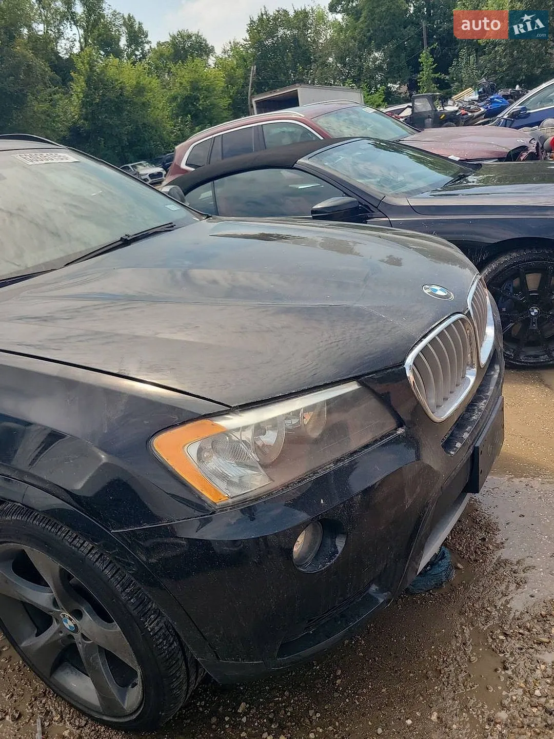2013 BMW X3 - мініатюра 45
