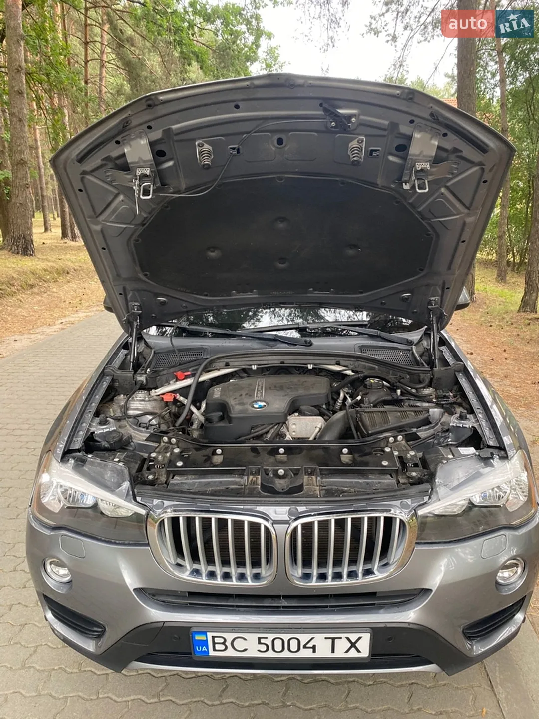 2016 BMW X3 - мініатюра 32