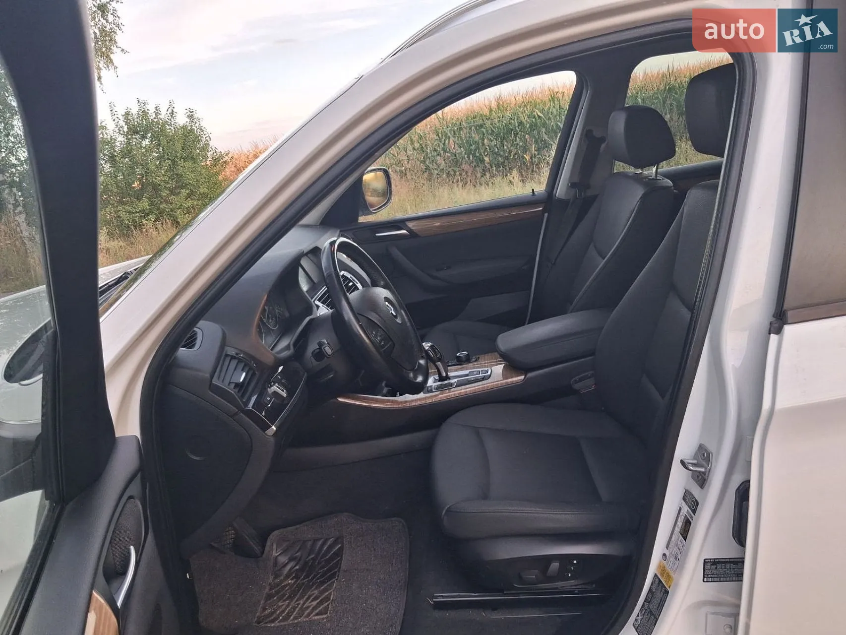 2013 BMW X3 - мініатюра 10