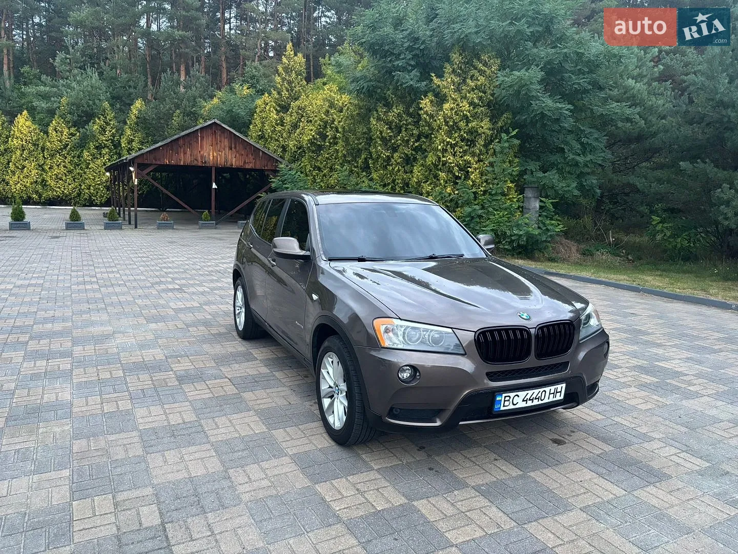 2013 BMW X3 - мініатюра 3