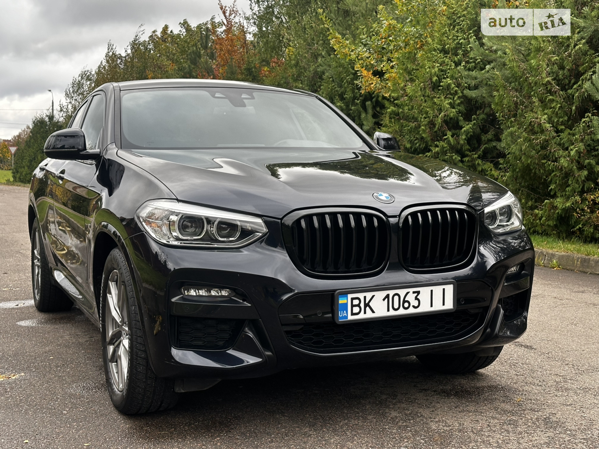 2019 BMW X4 - мініатюра 2