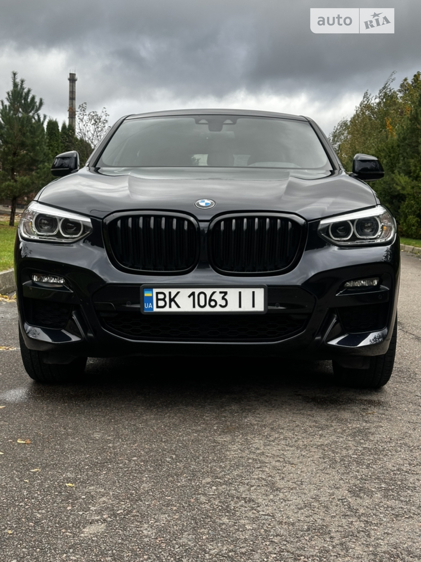 2019 BMW X4 - мініатюра 49