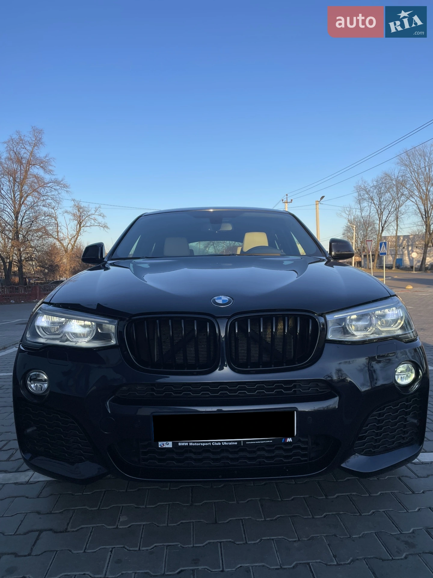 2016 BMW X4 - мініатюра 2
