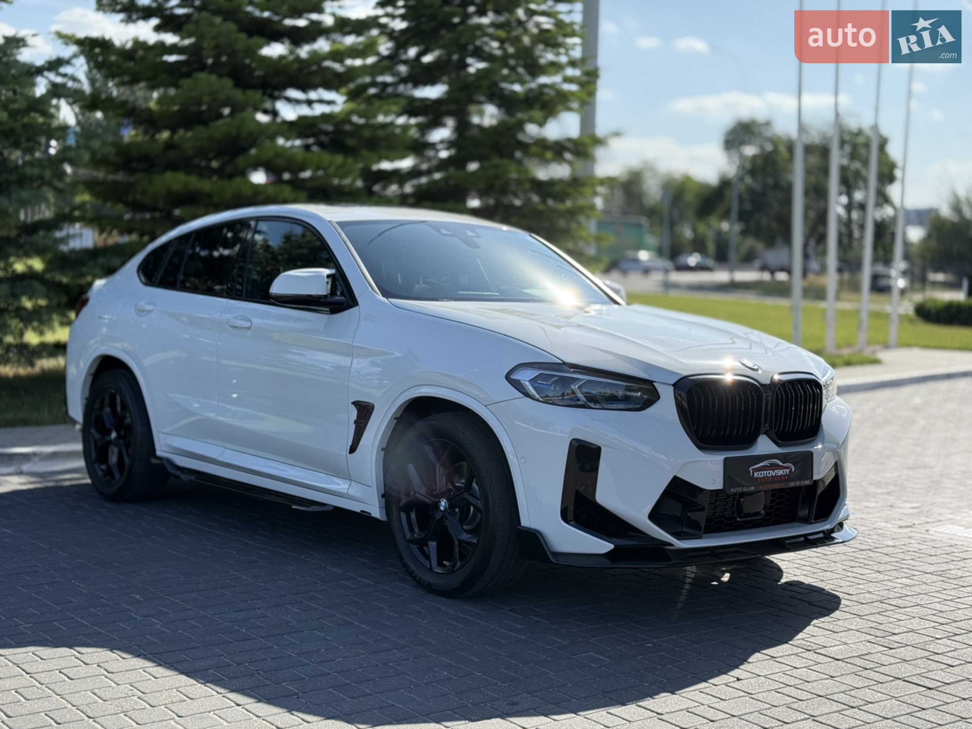 2019 BMW X4 - мініатюра 8