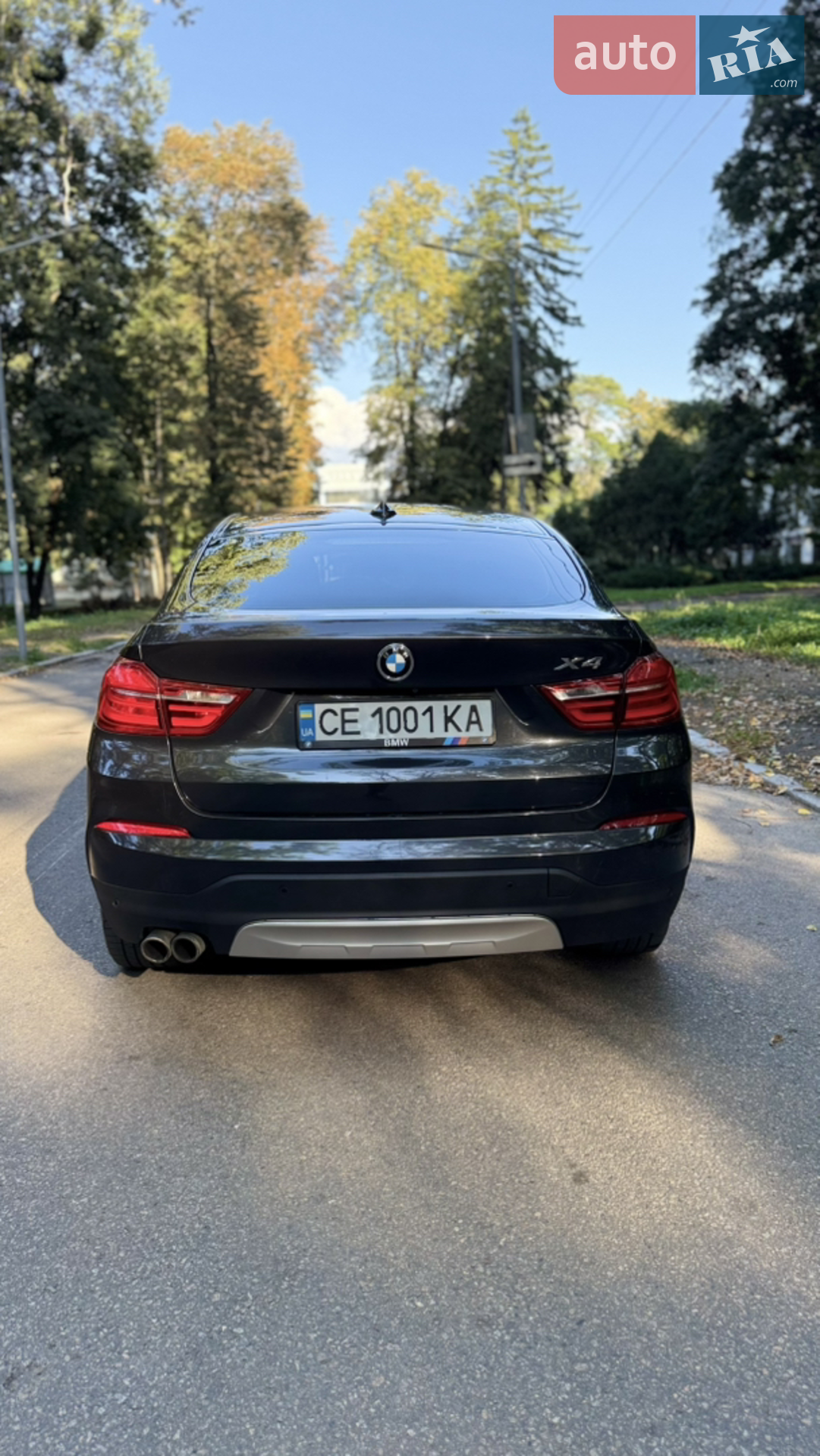 2017 BMW X4 - мініатюра 5