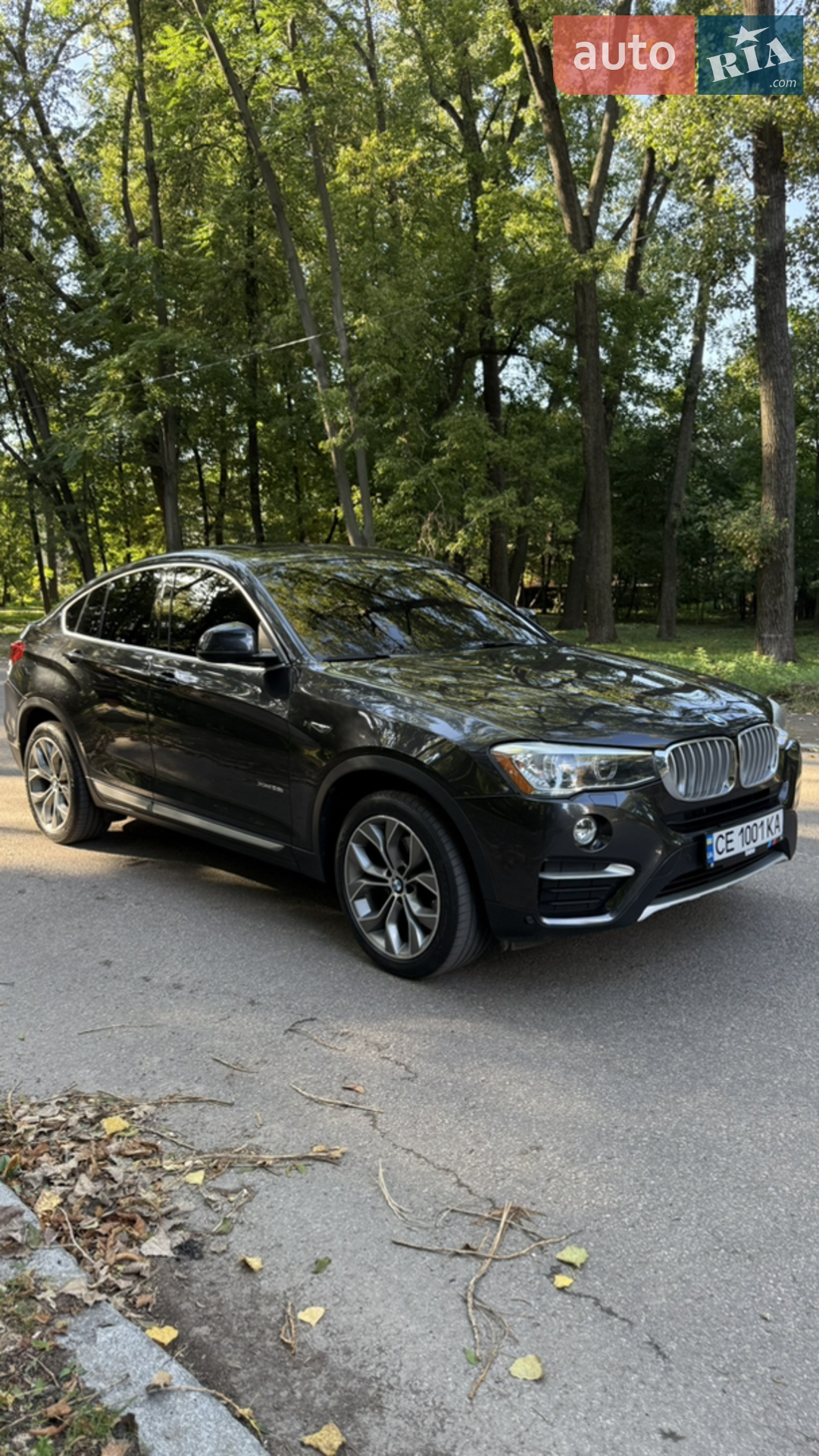 2017 BMW X4 - мініатюра 26