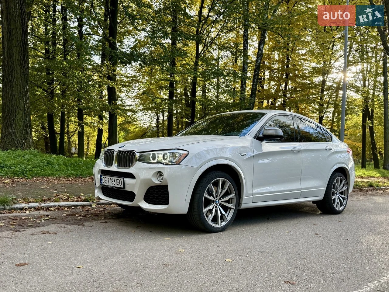 2016 BMW X4 - мініатюра 12
