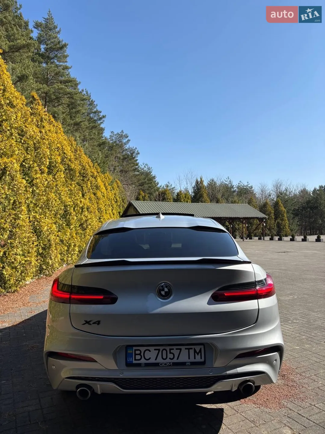 2019 BMW X4 - мініатюра 5