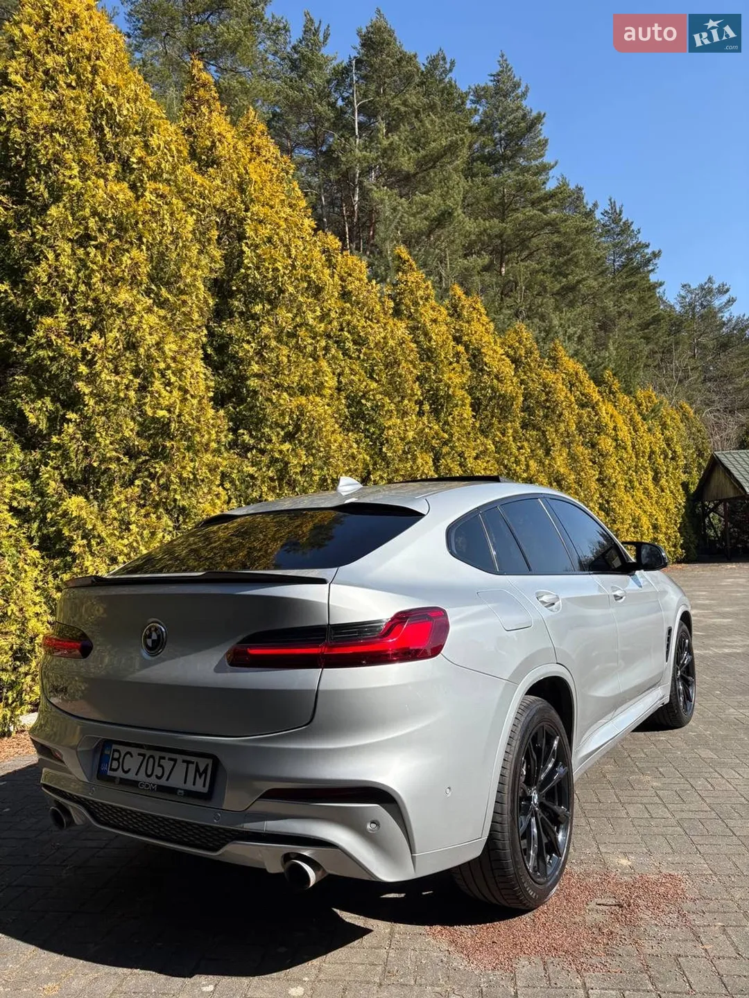 2019 BMW X4 - мініатюра 6