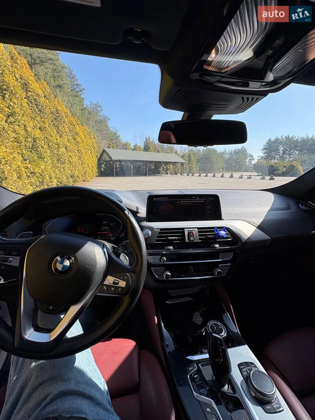 2019 BMW X4 - мініатюра 12
