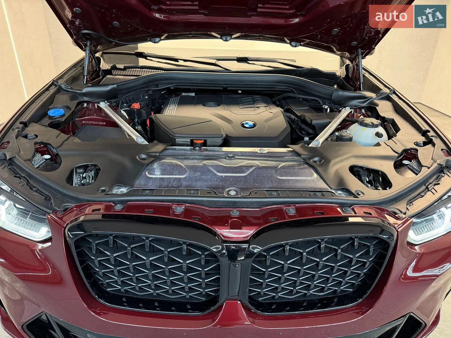 2024 BMW X4 - мініатюра 65