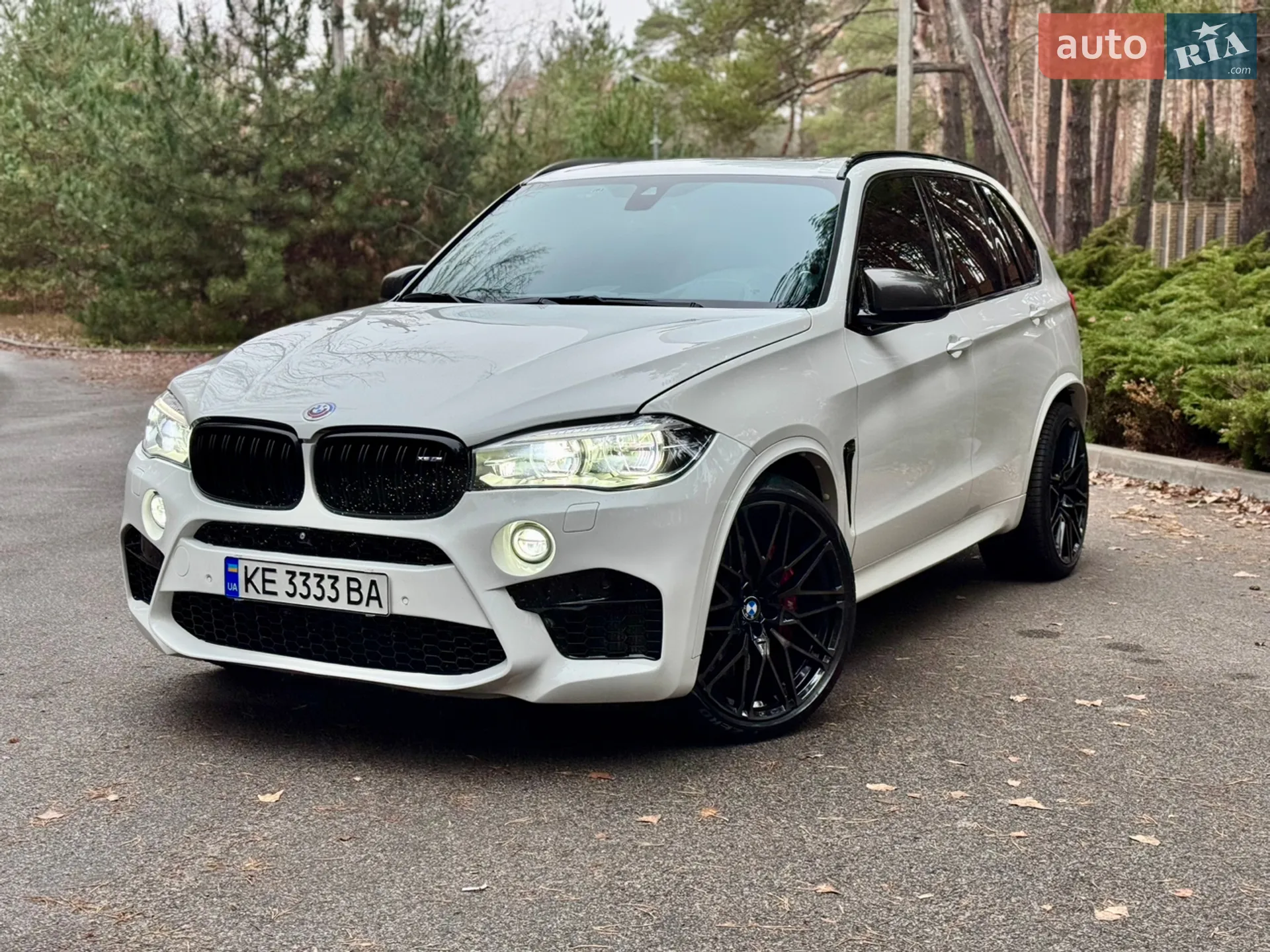 2017 BMW X5 M - мініатюра 5