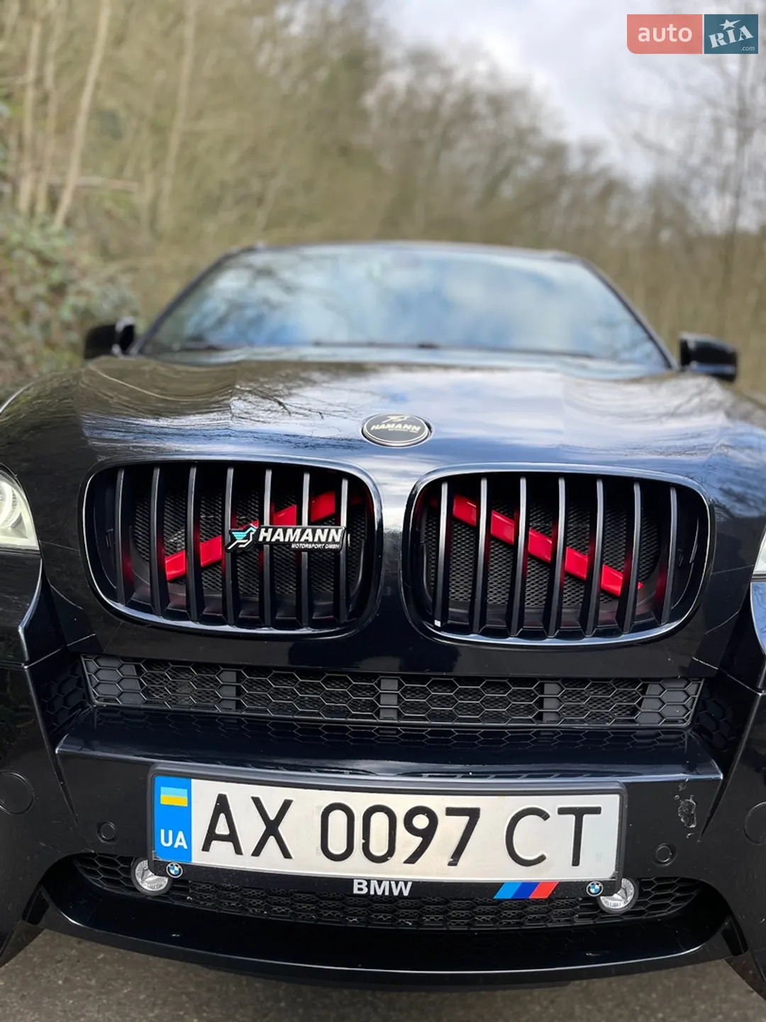 2010 BMW X5 M - мініатюра 4