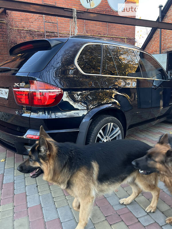 Позашляховик / Кросовер BMW X5 2010 в Краснокутську