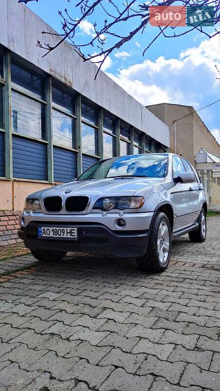 Позашляховик / Кросовер BMW X5 2001 в Виноградові