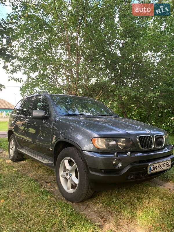 Позашляховик / Кросовер BMW X5 2003 в 