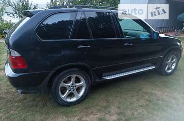 Позашляховик / Кросовер BMW X5 2004 в Новій Ушиці