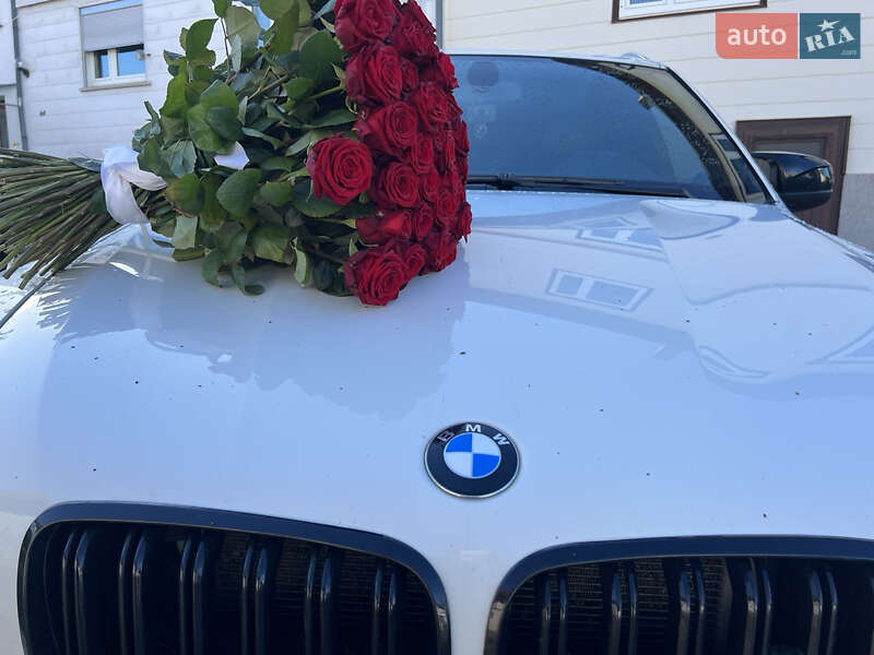 Позашляховик / Кросовер BMW X5 2009 в Березному фото 19 Позашляховик / Кросовер BMW X5 2009 в Березному