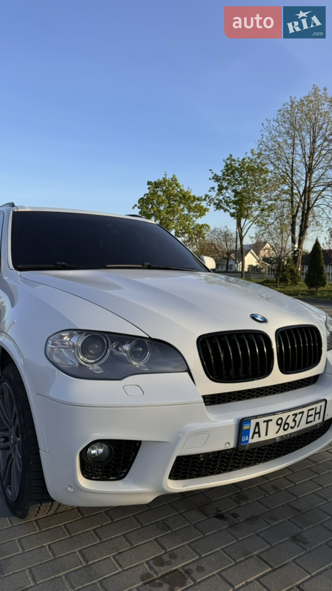 2012 BMW X5 - мініатюра 2