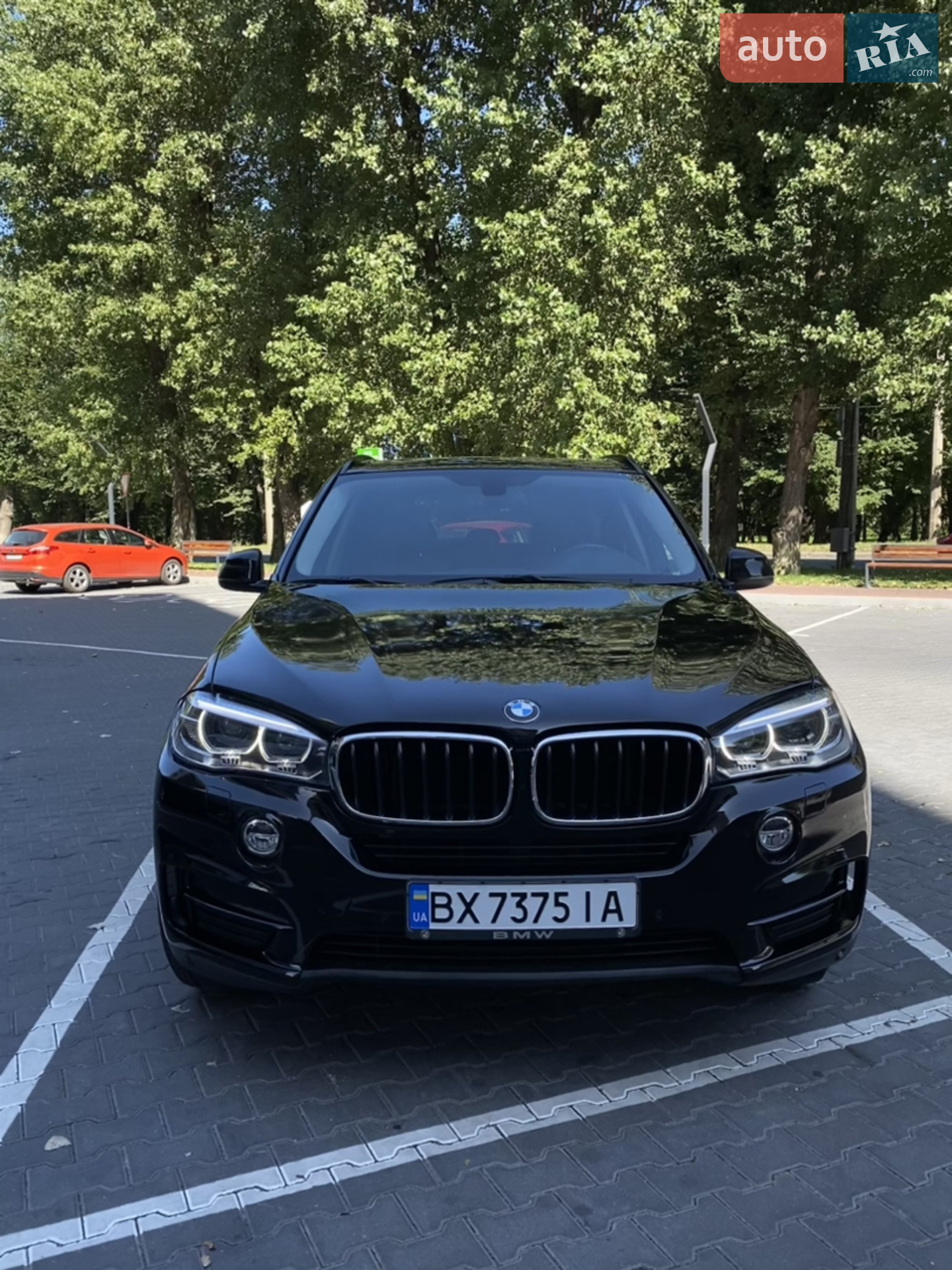 2014 BMW X5 - мініатюра 2