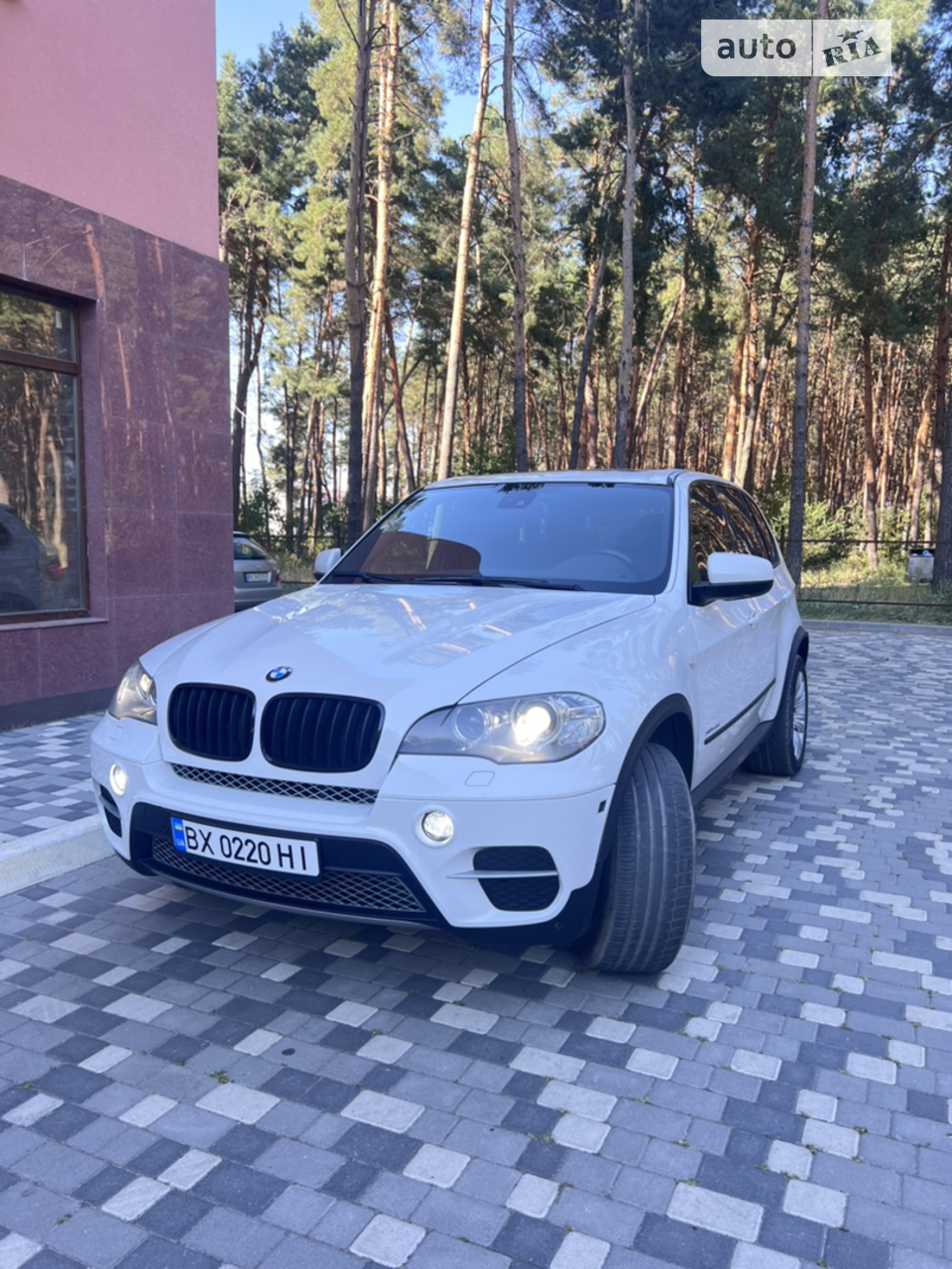 2010 BMW X5 - мініатюра 66