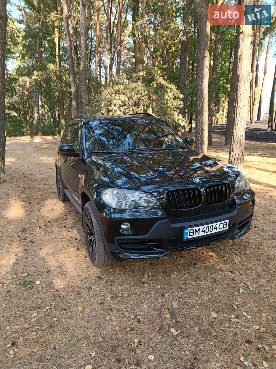 2010 BMW X5 - мініатюра 15