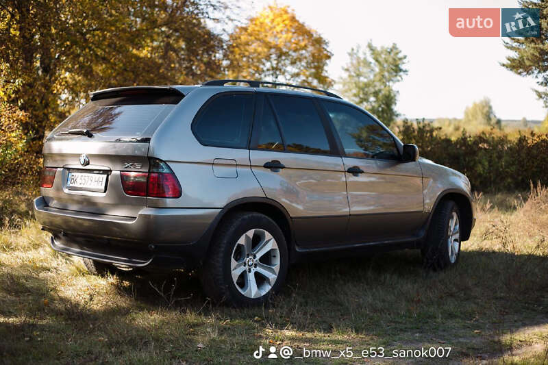 Позашляховик / Кросовер BMW X5 2005 в Дубровиці фото 3 Позашляховик / Кросовер BMW X5 2005 в Дубровиці