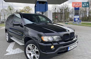 Позашляховик / Кросовер BMW X5 2003 в Рокитному