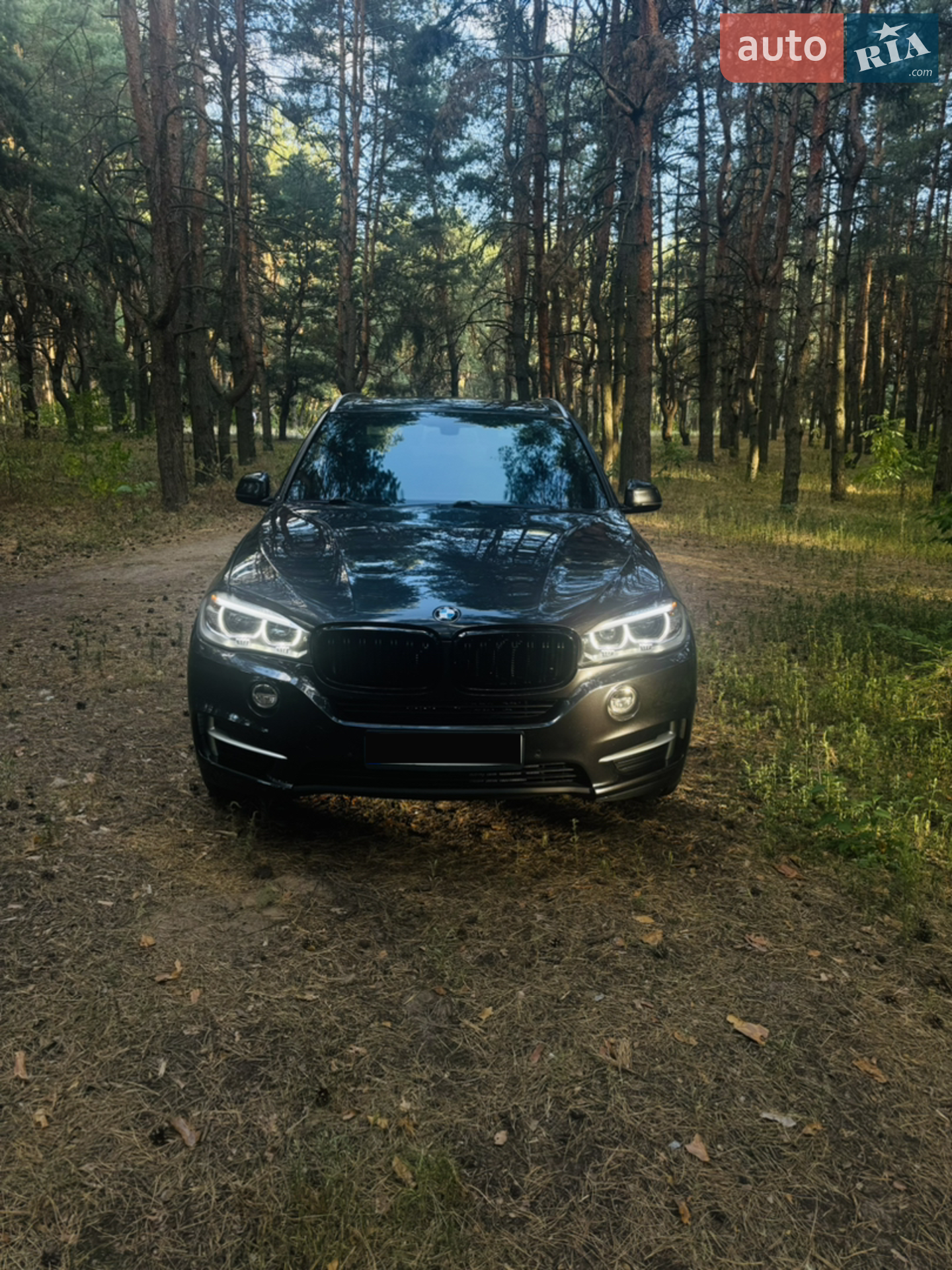 2017 BMW X5 - мініатюра 2