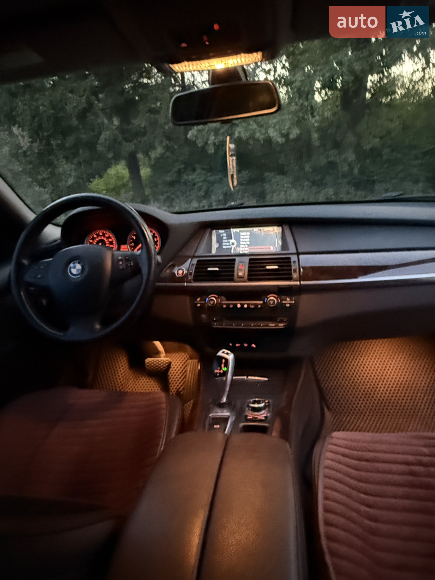 2010 BMW X5 - мініатюра 9