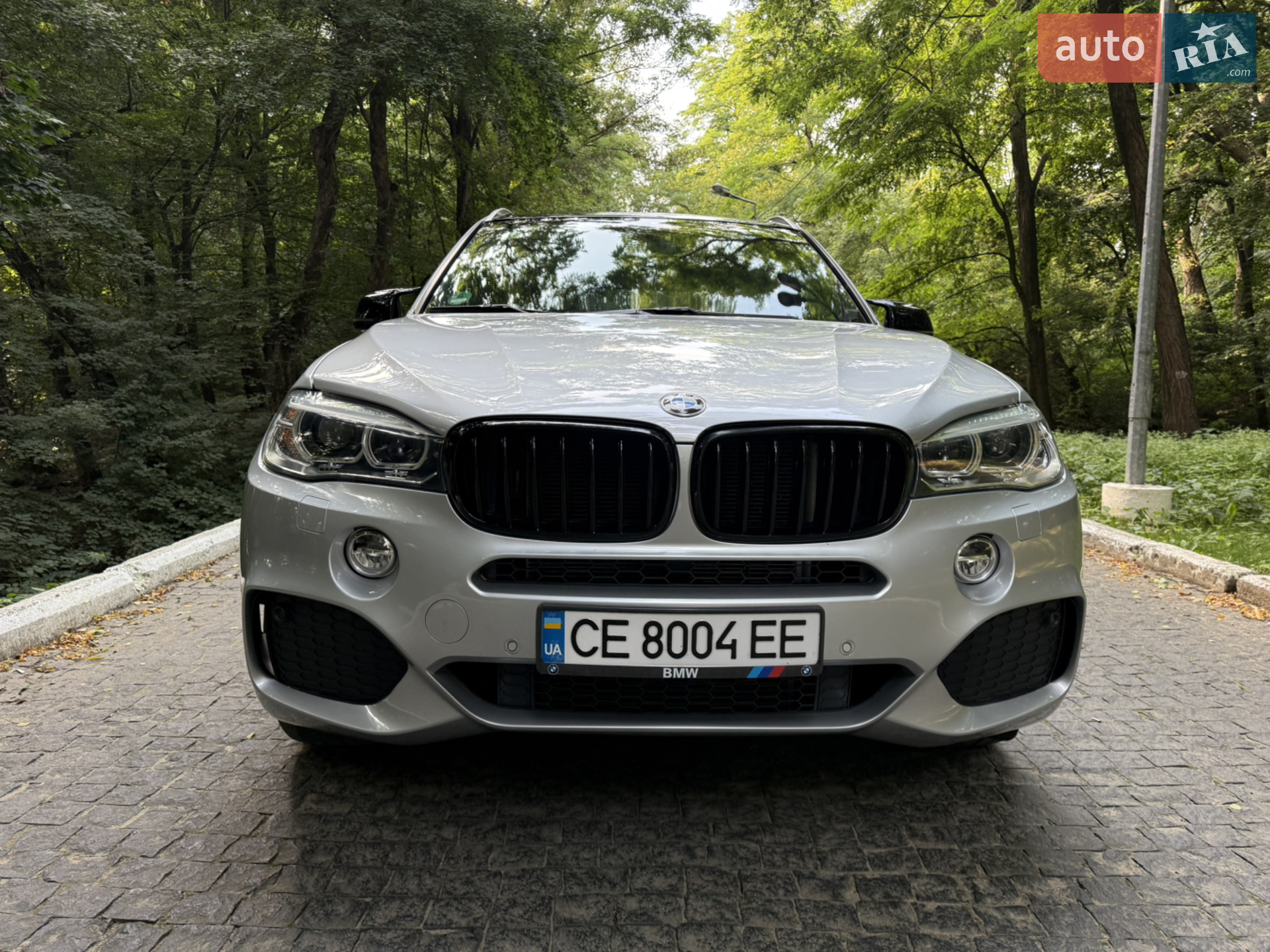 2018 BMW X5 - мініатюра 7