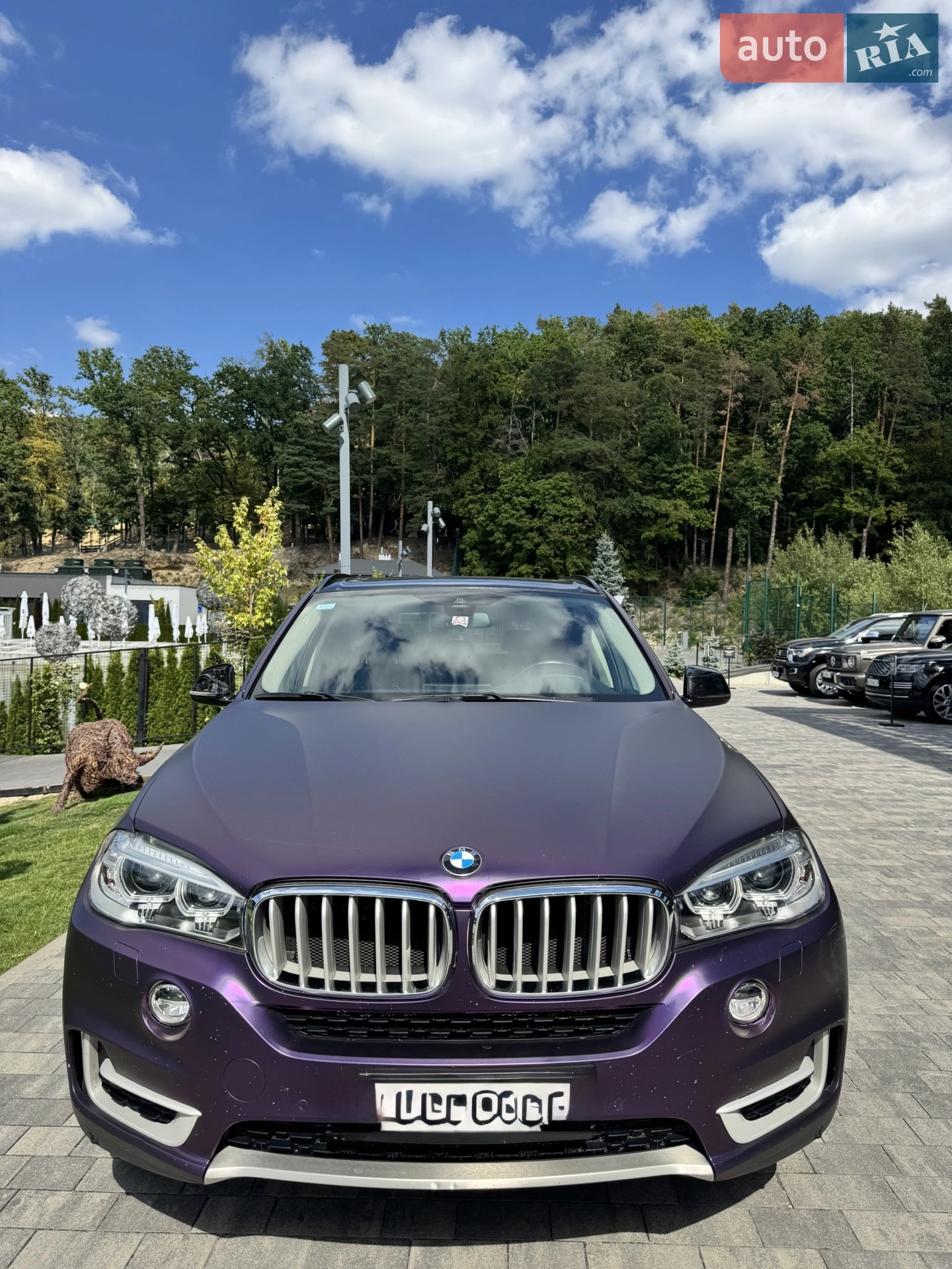 2015 BMW X5 - мініатюра 6