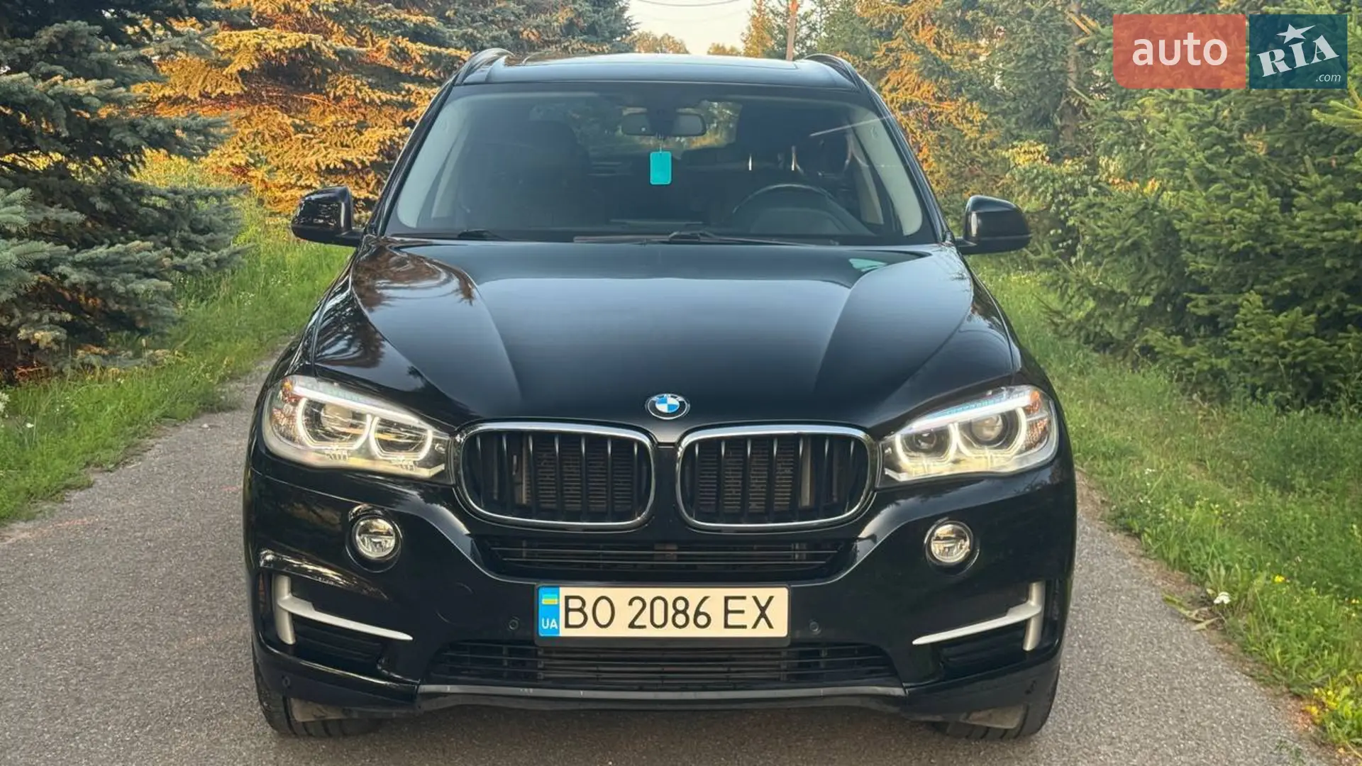 2013 BMW X5 - мініатюра 2