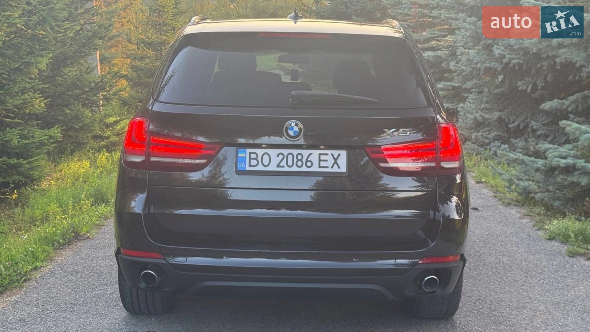 2013 BMW X5 - мініатюра 4