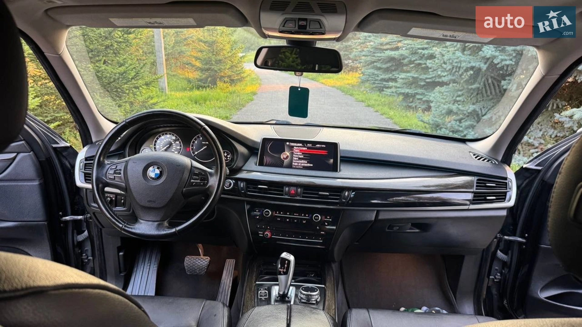 2013 BMW X5 - мініатюра 18