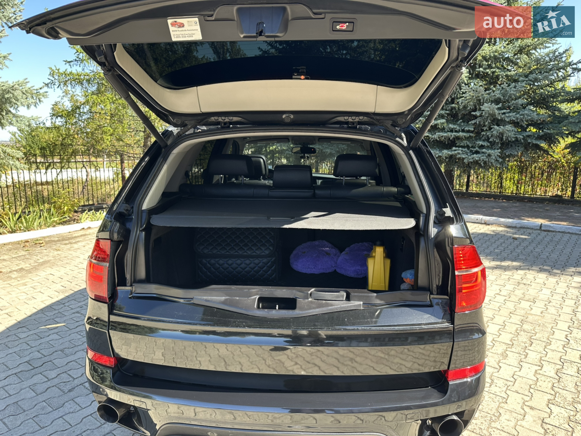 2010 BMW X5 - мініатюра 8