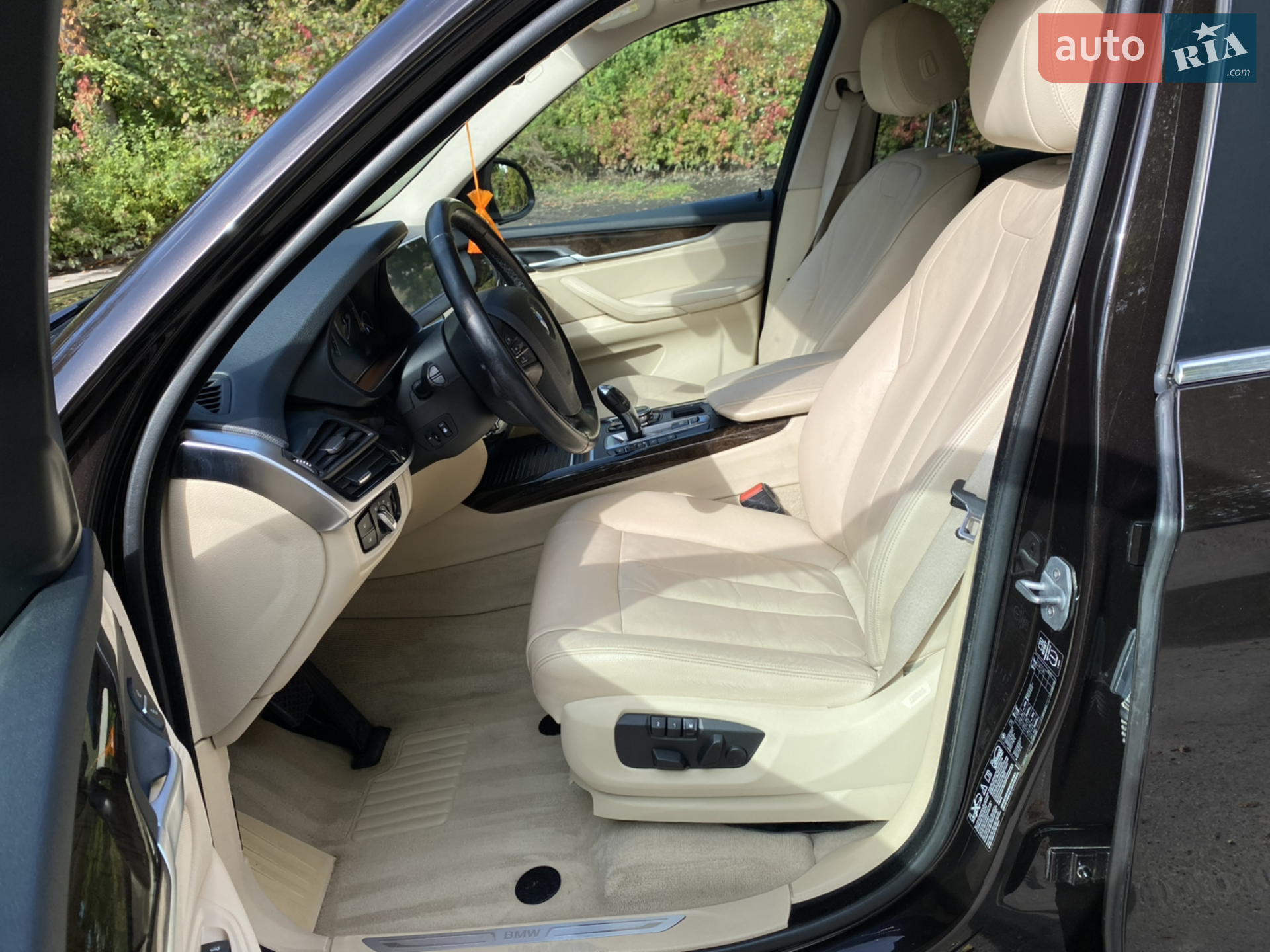 2013 BMW X5 - мініатюра 17
