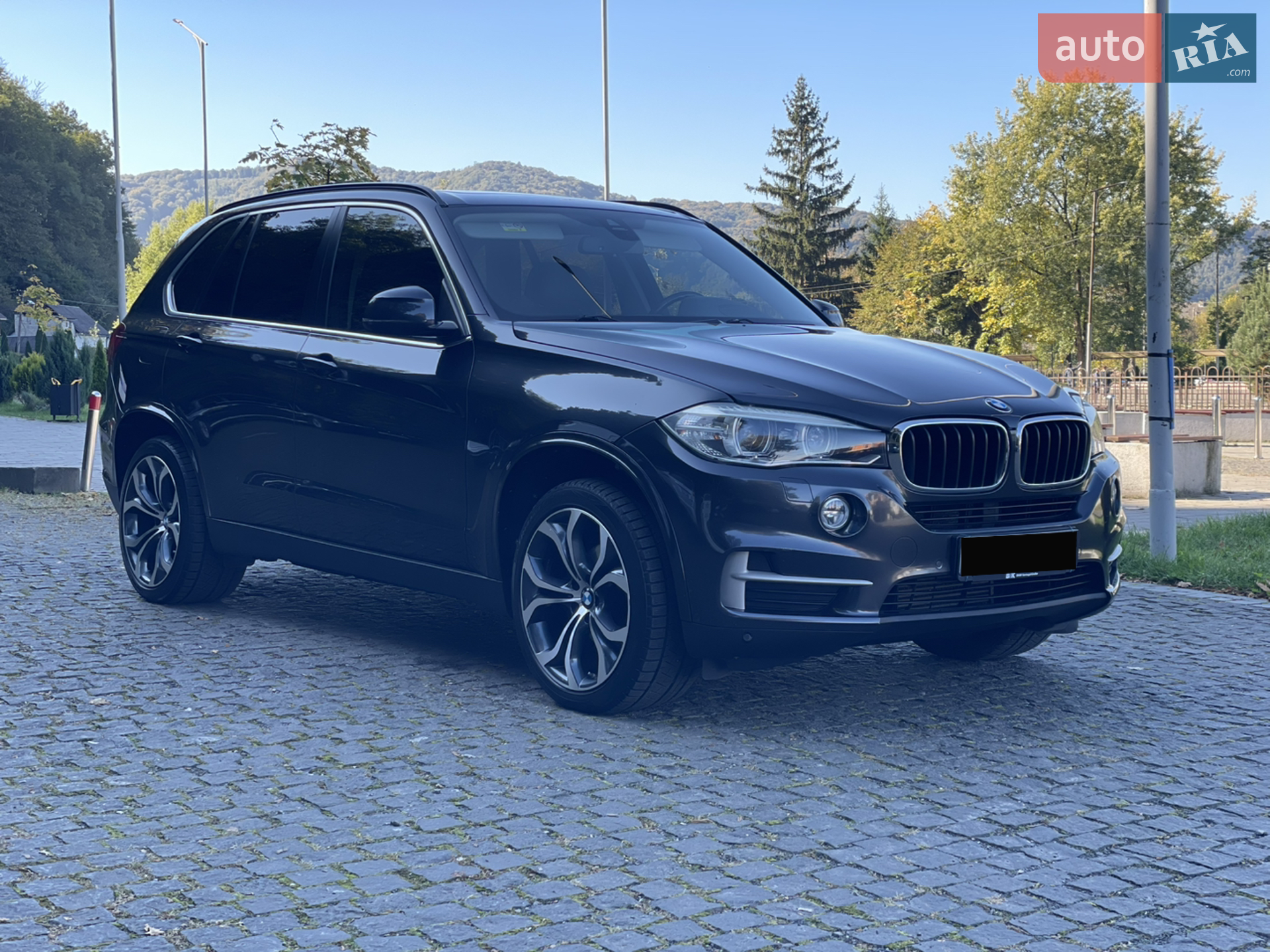 2014 BMW X5 - мініатюра 6