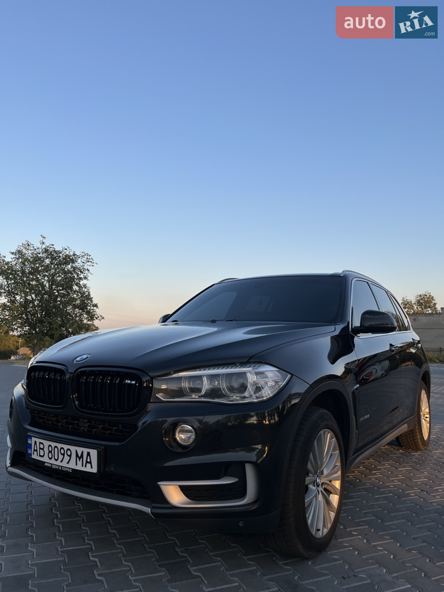 2013 BMW X5 - мініатюра 6