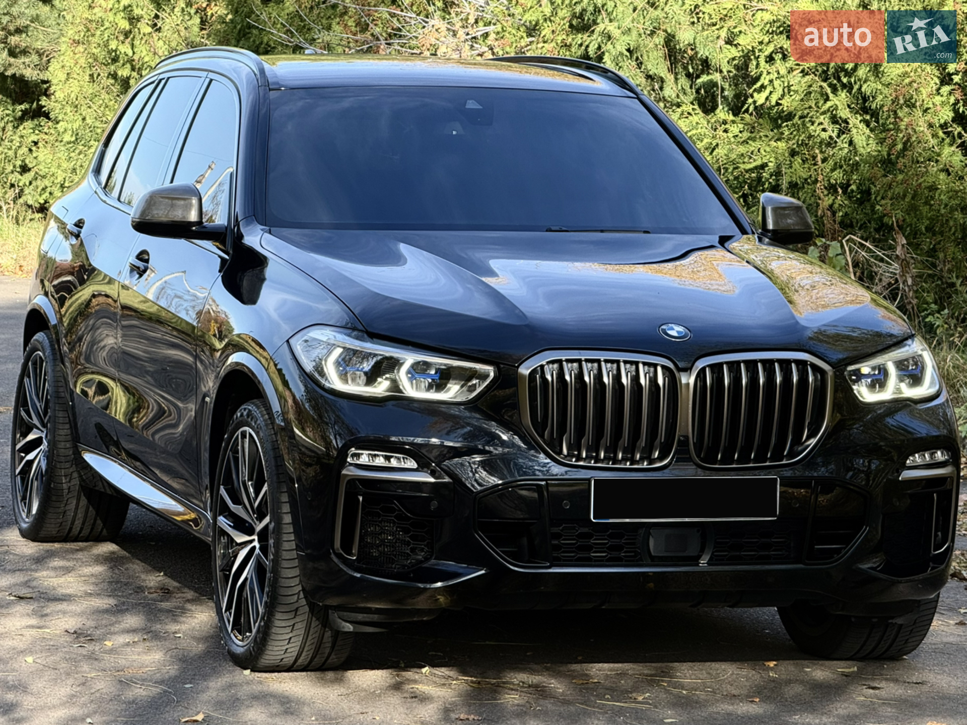 2019 BMW X5 - мініатюра 2