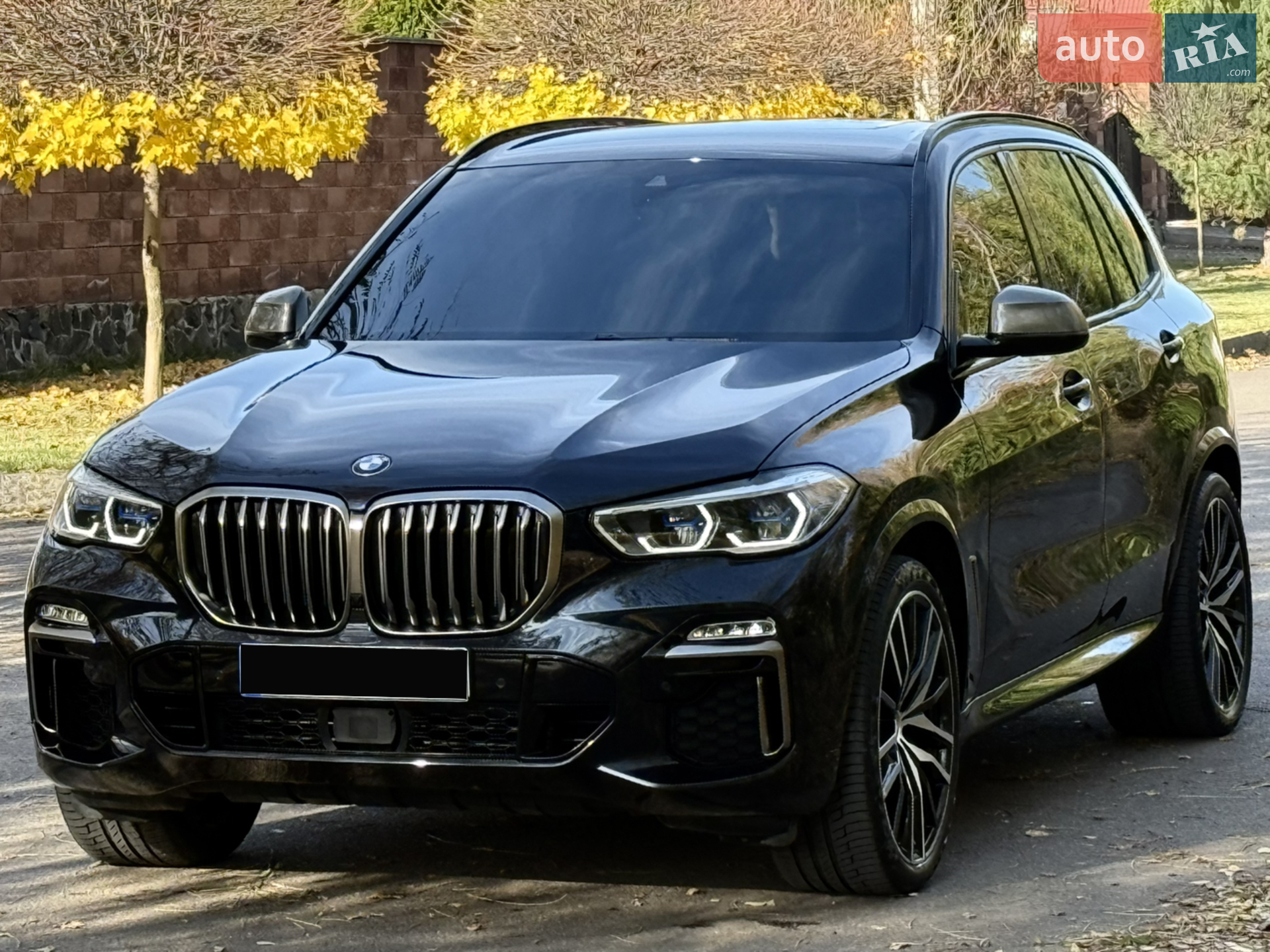 2019 BMW X5 - мініатюра 7