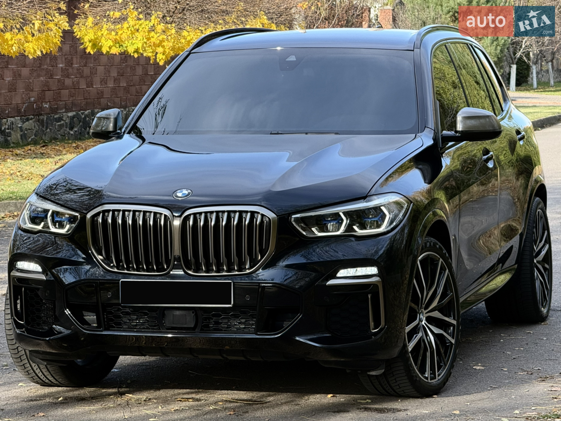 2019 BMW X5 - мініатюра 87