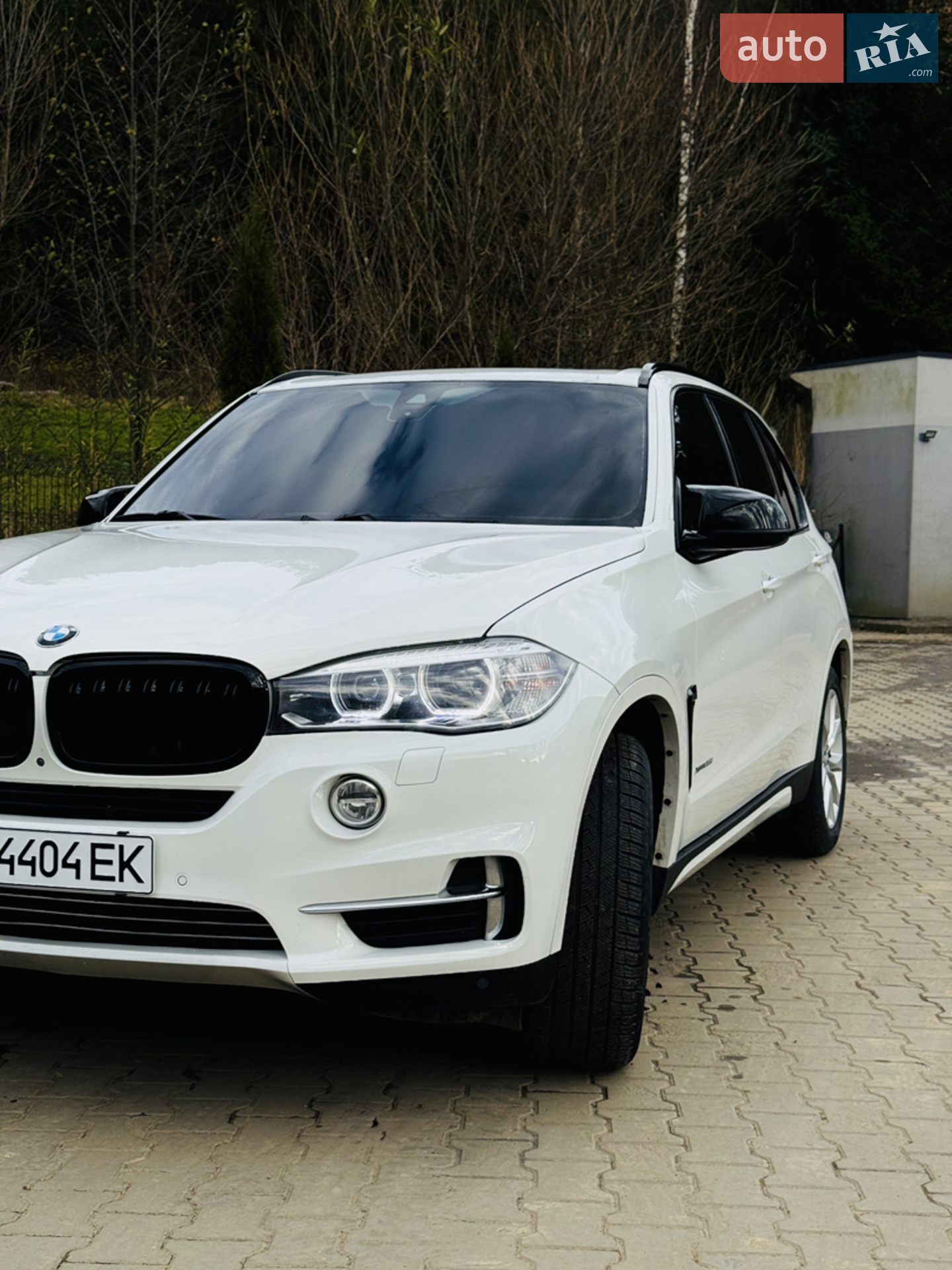 2015 BMW X5 - мініатюра 5