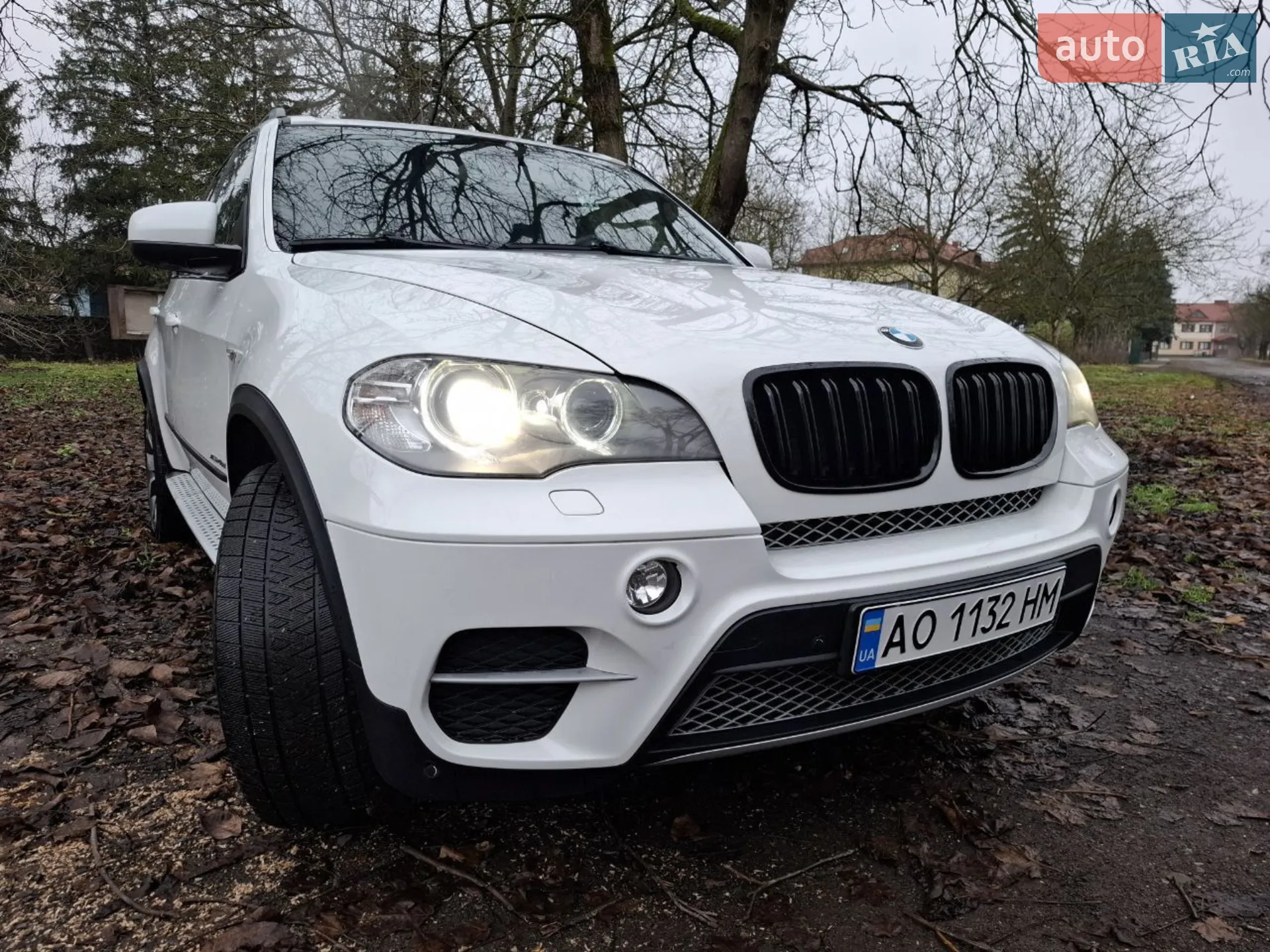 2010 BMW X5 - мініатюра 6