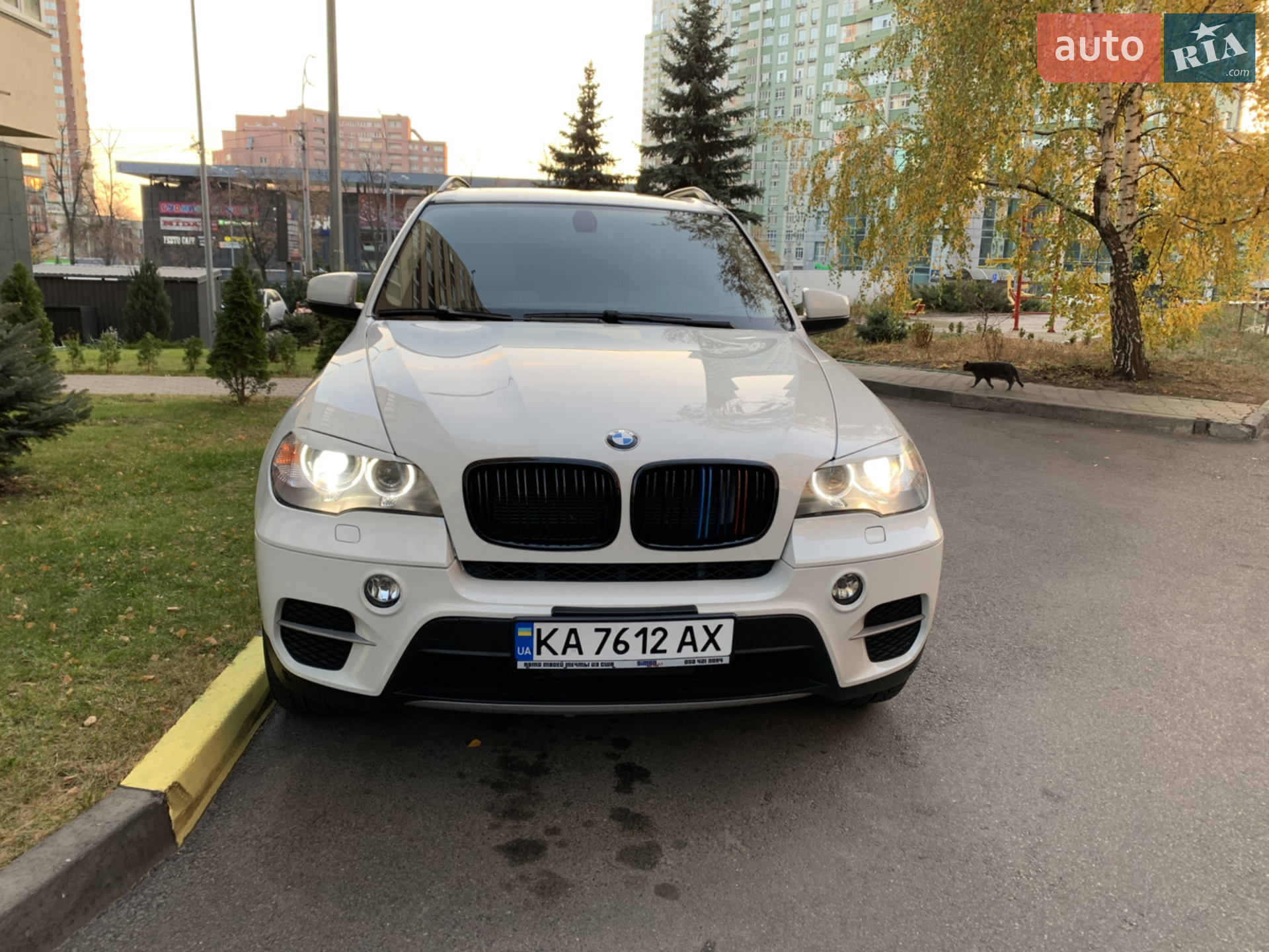 2013 BMW X5 - мініатюра 2