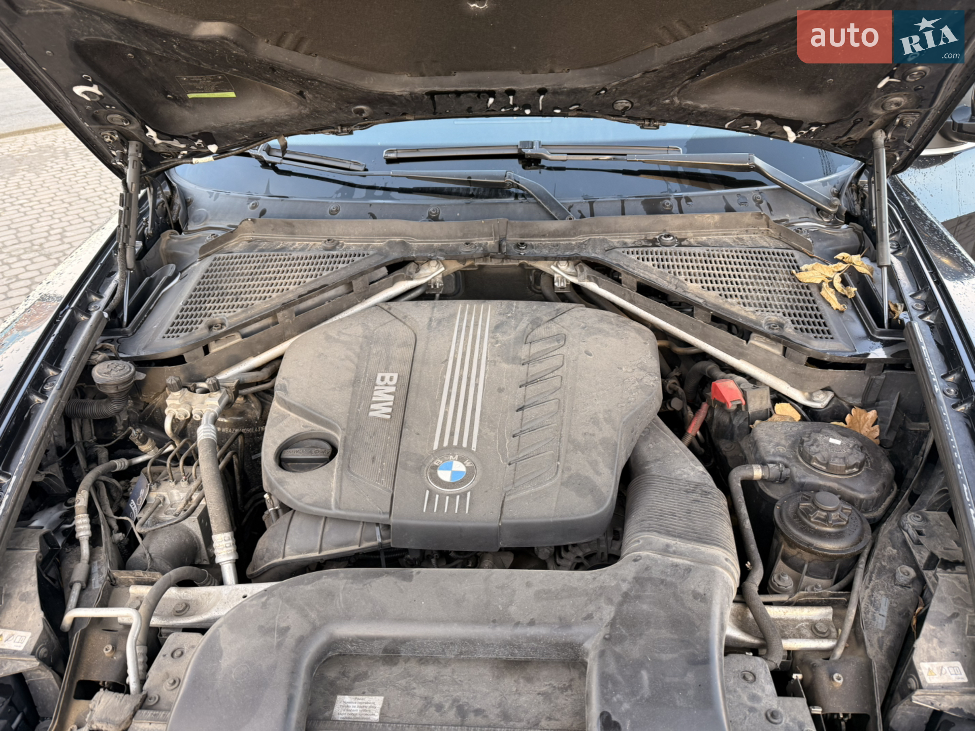 2010 BMW X5 - мініатюра 13