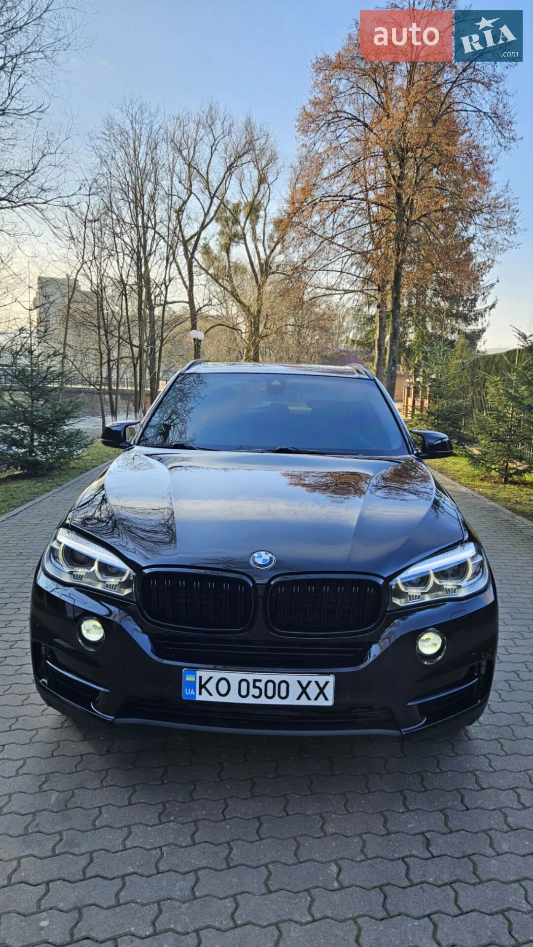 2014 BMW X5 - мініатюра 2