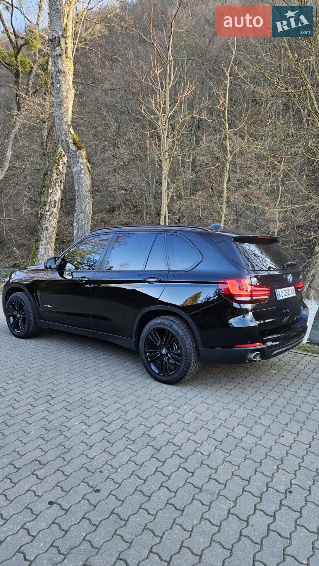 2014 BMW X5 - мініатюра 4