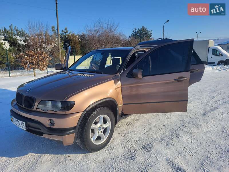Внедорожник / Кроссовер BMW X5 2001 в Хмельницком фото 78 Внедорожник / Кроссовер BMW X5 2001 в Хмельницком