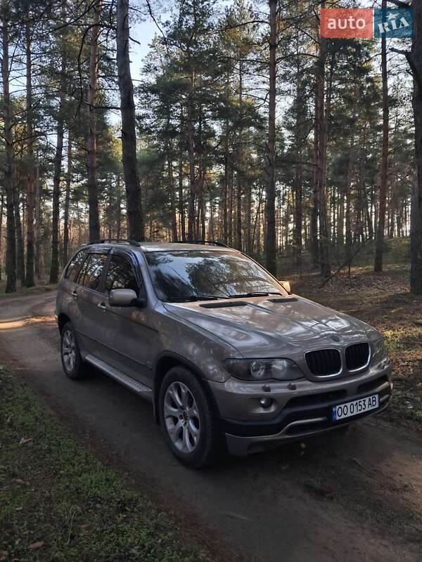BMW X5 2004 BMW X5 2004
